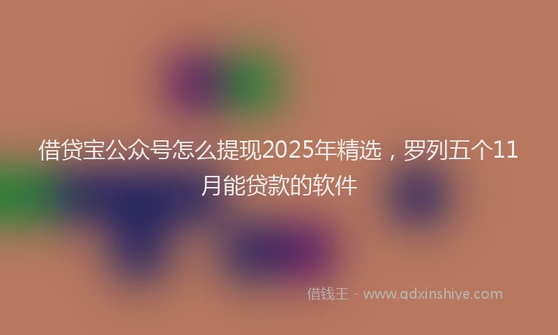 借贷宝公众号怎么提现2025年精选，罗列五个11月能贷款的软件
