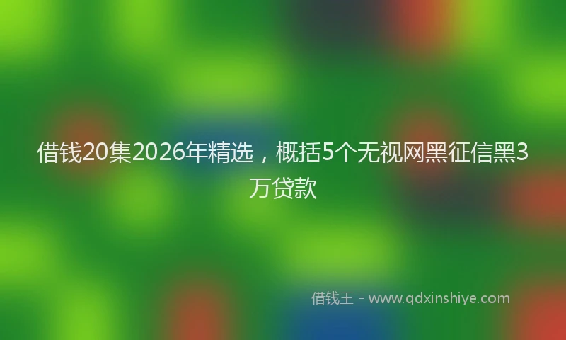 借钱20集2026年精选，概括5个无视网黑征信黑3万贷款