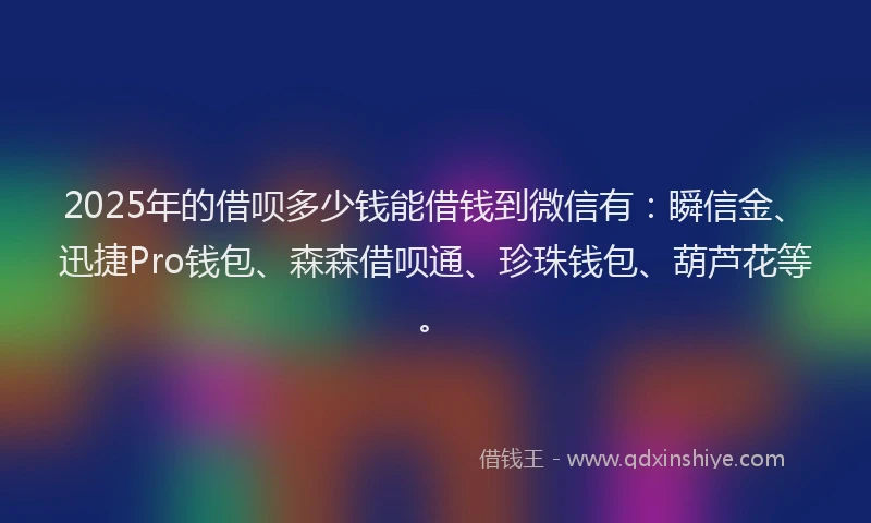2025年的借呗多少钱能借钱到微信有：瞬信金、迅捷Pro钱包、森森借呗通、珍珠钱包、葫芦花等。