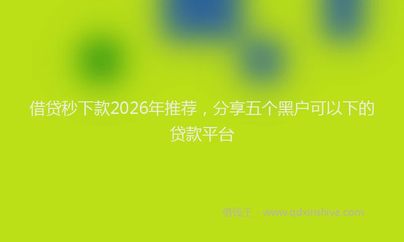 借贷秒下款2026年推荐,分享五个黑户可以下的贷款平台