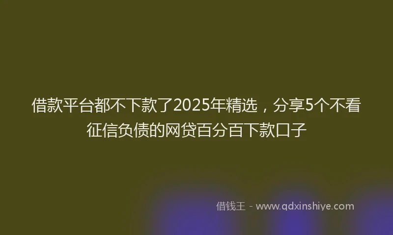借款平台都不下款了2025年精选，分享5个不看征信负债的网贷百分百下款口子