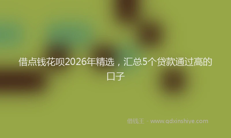 借点钱花呗2026年精选，汇总5个贷款通过高的口子