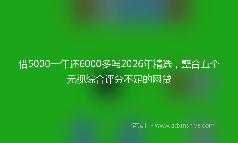 借5000一年还6000多吗2026年精选，整合五个无视综合评分不足的网贷