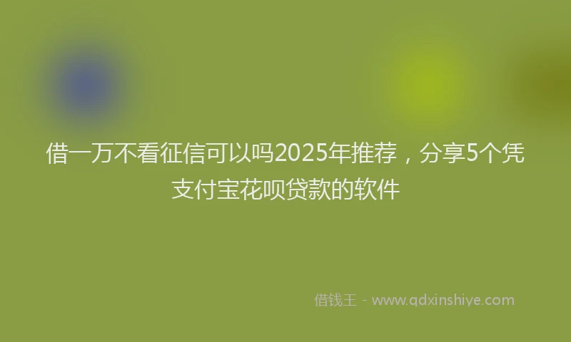 借一万不看征信可以吗2025年推荐,分享5个凭支付宝花呗贷款的软件