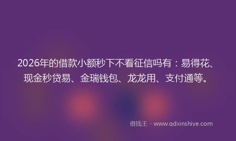 2026年的借款小额秒下不看征信吗有：易得花、现金秒贷易、金瑞钱包、龙龙用、支付通等。