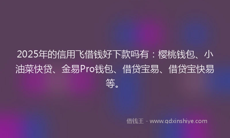 2025年的信用飞借钱好下款吗有:樱桃钱包、小油菜快贷、金易Pro钱包、借贷宝易、借贷宝快易等。