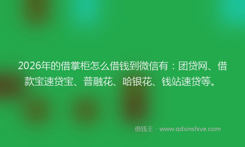2026年的借掌柜怎么借钱到微信有：团贷网、借款宝速贷宝、普融花、哈银花、钱站速贷等。
