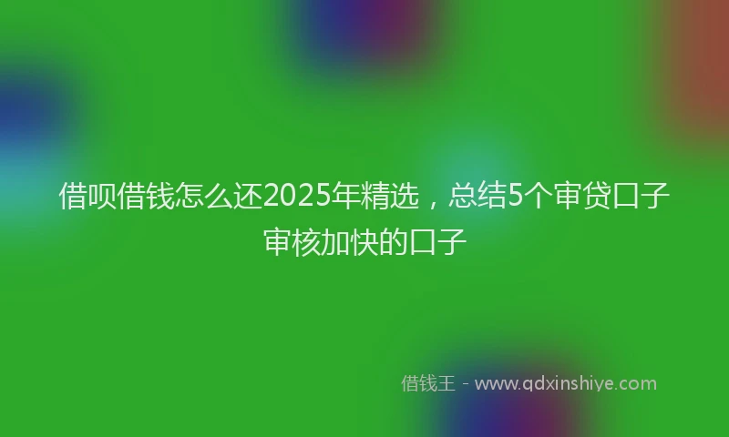 借呗借钱怎么还2025年精选,总结5个审贷口子审核加快的口子