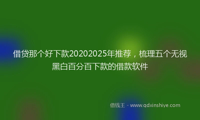 借贷那个好下款20202025年推荐，梳理五个无视黑白百分百下款的借款软件