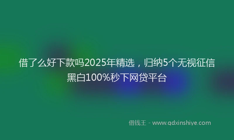借了么好下款吗2025年精选，归纳5个无视征信黑白100%秒下网贷平台