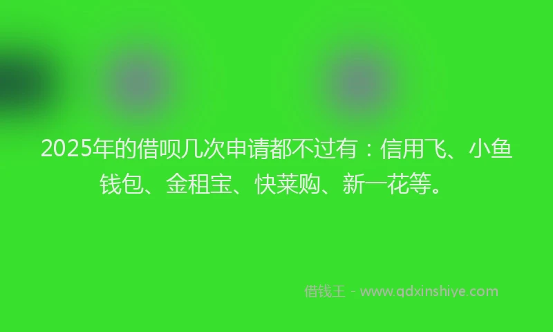 2025年的借呗几次申请都不过有：信用飞、小鱼钱包、金租宝、快莱购、新一花等。
