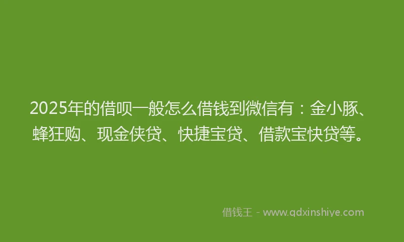 2025年的借呗一般怎么借钱到微信有：金小豚、蜂狂购、现金侠贷、快捷宝贷、借款宝快贷等。