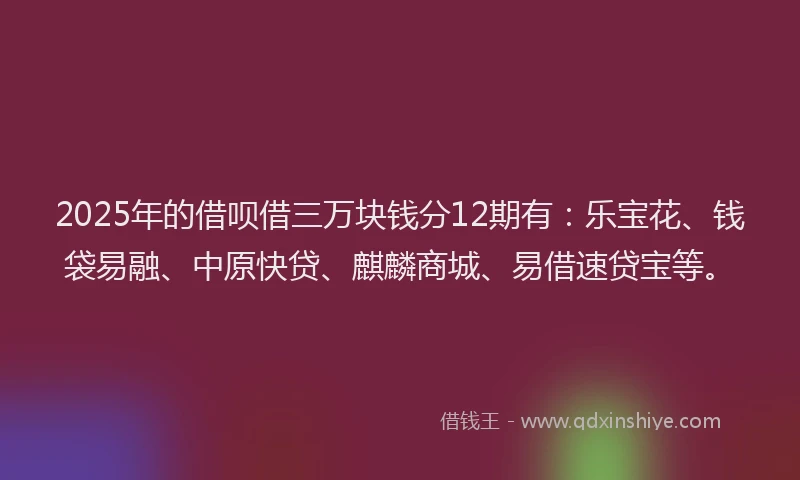 2025年的借呗借三万块钱分12期有:乐宝花、钱袋易融、中原快贷、麒麟商城、易借速贷宝等。