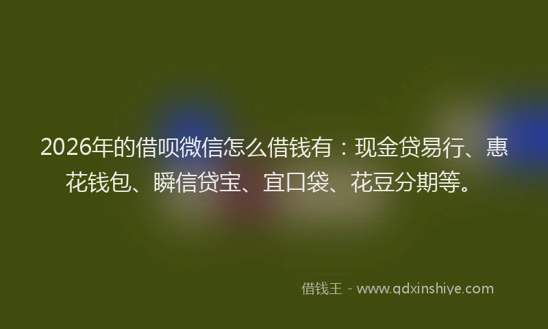 2026年的借呗微信怎么借钱有：现金贷易行、惠花钱包、瞬信贷宝、宜口袋、花豆分期等。