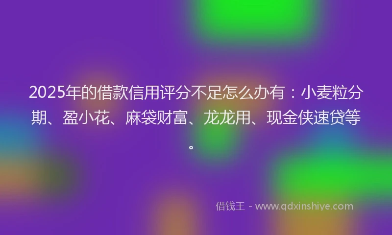 2025年的借款信用评分不足怎么办有：小麦粒分期、盈小花、麻袋财富、龙龙用、现金侠速贷等。