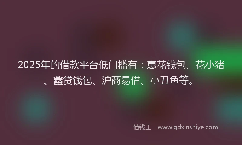 2025年的借款平台低门槛有：惠花钱包、花小猪、鑫贷钱包、沪商易借、小丑鱼等。