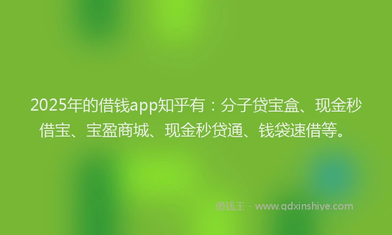 2025年的借钱app知乎有：分子贷宝盒、现金秒借宝、宝盈商城、现金秒贷通、钱袋速借等。