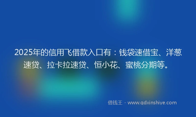 2025年的信用飞借款入口有：钱袋速借宝、洋葱速贷、拉卡拉速贷、恒小花、蜜桃分期等。
