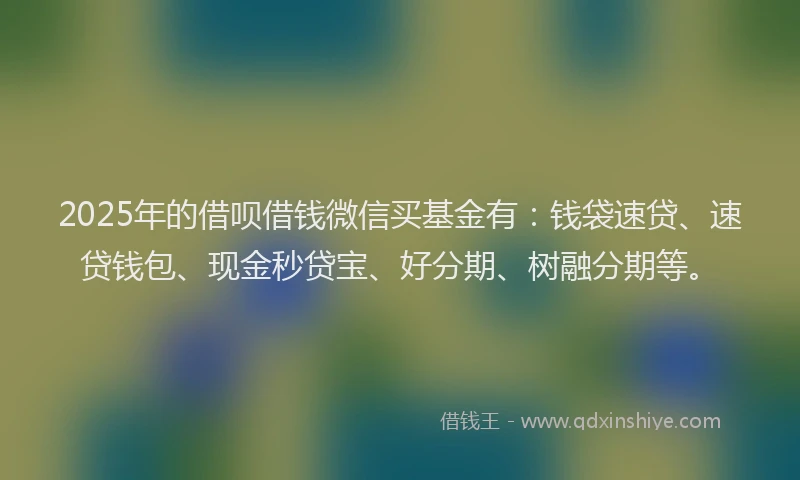 2025年的借呗借钱微信买基金有:钱袋速贷、速贷钱包、现金秒贷宝、好分期、树融分期等。