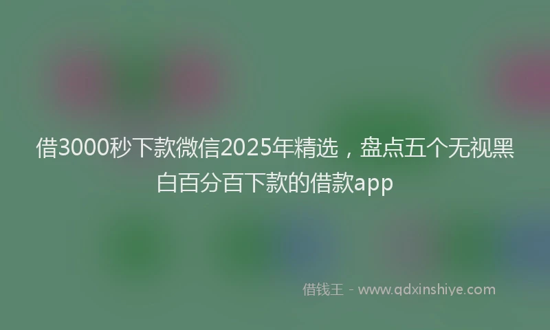 借3000秒下款微信2025年精选，盘点五个无视黑白百分百下款的借款app
