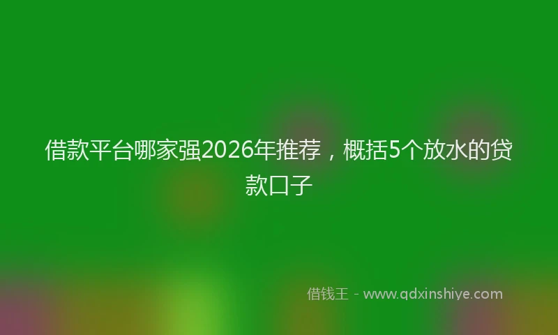 借款平台哪家强2026年推荐，概括5个放水的贷款口子