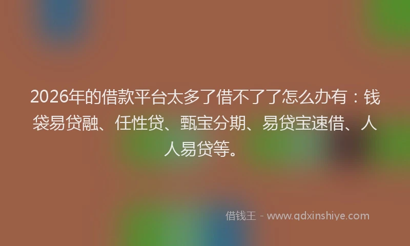 2026年的借款平台太多了借不了了怎么办有：钱袋易贷融、任性贷、甄宝分期、易贷宝速借、人人易贷等。