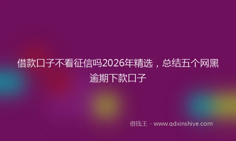 借款口子不看征信吗2026年精选,总结五个网黑逾期下款口子