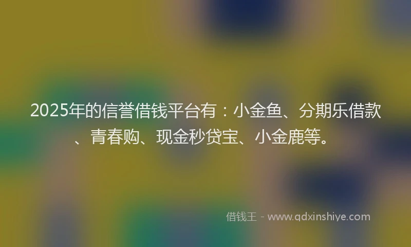 2025年的信誉借钱平台有：小金鱼、分期乐借款、青春购、现金秒贷宝、小金鹿等。