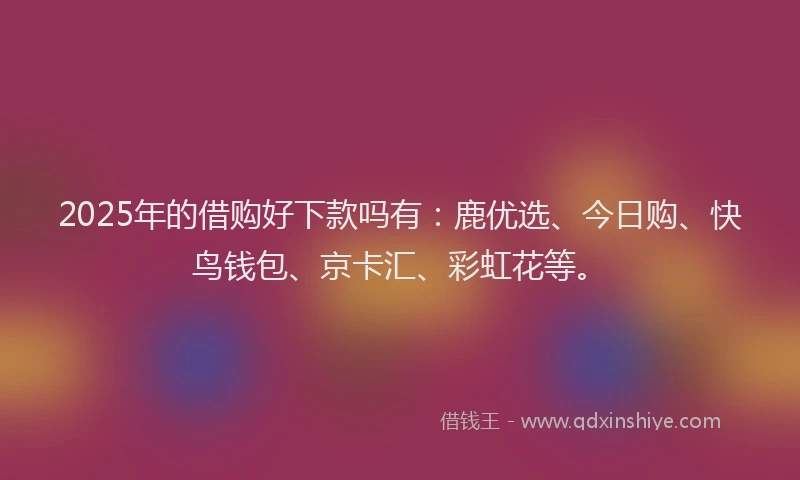 2025年的借购好下款吗有:鹿优选、今日购、快鸟钱包、京卡汇、彩虹花等。