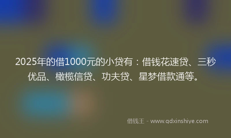 2025年的借1000元的小贷有：借钱花速贷、三秒优品、橄榄信贷、功夫贷、星梦借款通等。