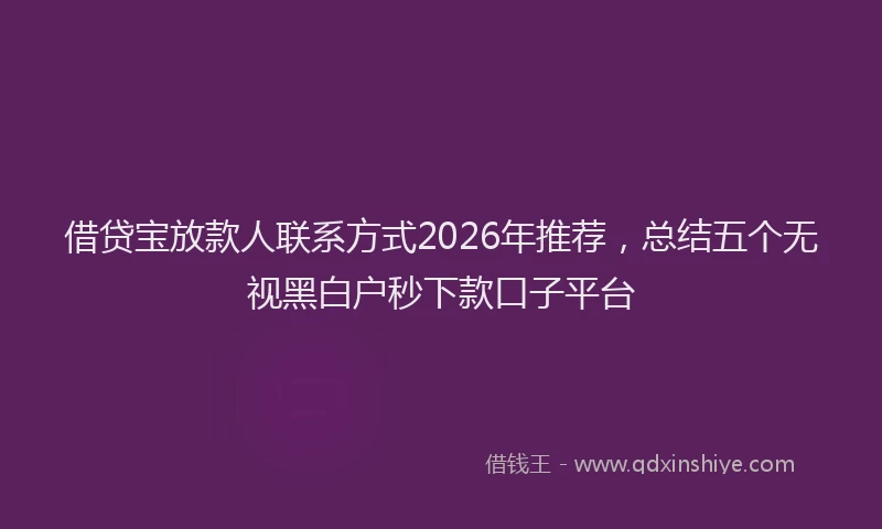 借贷宝放款人联系方式2026年推荐，总结五个无视黑白户秒下款口子平台