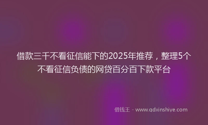 借款三千不看征信能下的2025年推荐，整理5个不看征信负债的网贷百分百下款平台