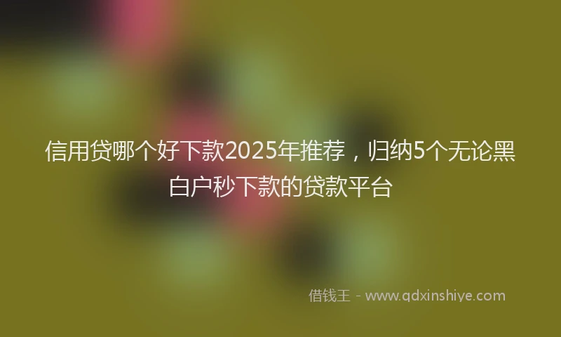 信用贷哪个好下款2025年推荐，归纳5个无论黑白户秒下款的贷款平台