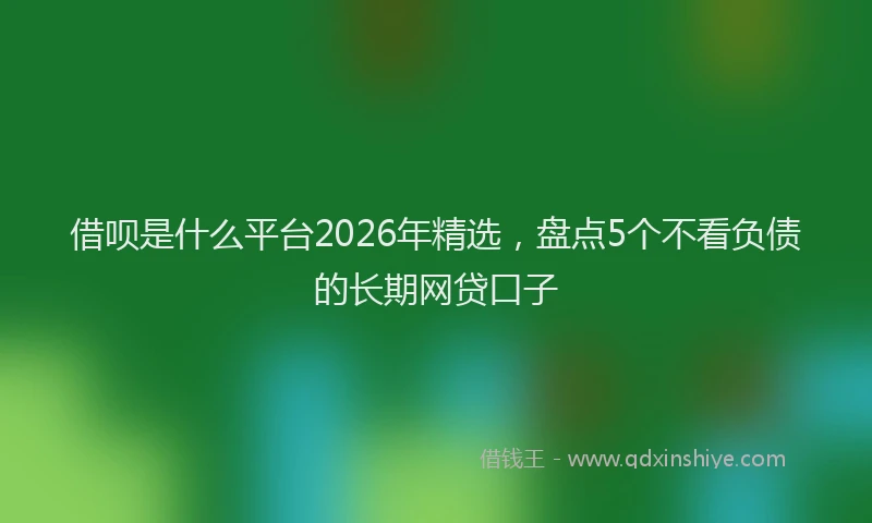 借呗是什么平台2026年精选，盘点5个不看负债的长期网贷口子
