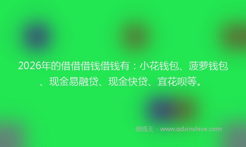 2026年的借借借钱借钱有：小花钱包、菠萝钱包、现金易融贷、现金快贷、宜花呗等。