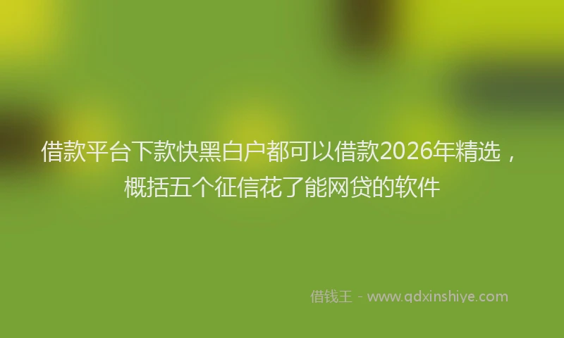 借款平台下款快黑白户都可以借款2026年精选，概括五个征信花了能网贷的软件
