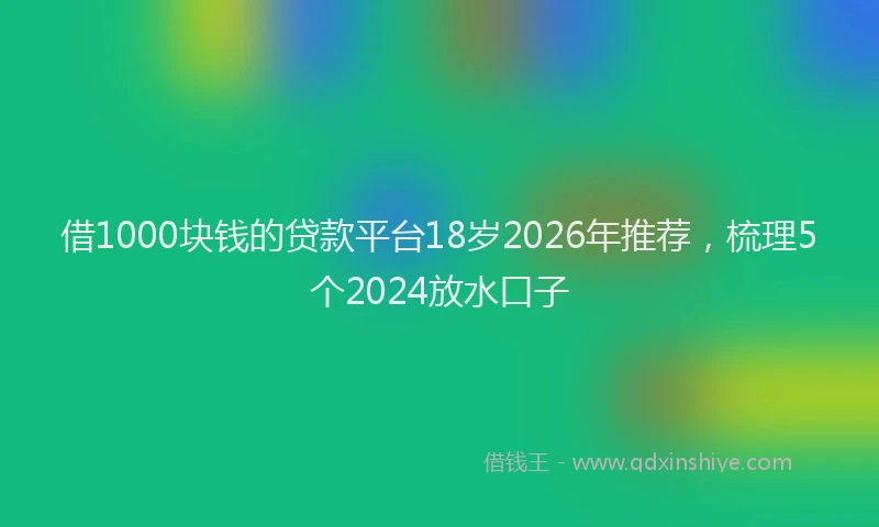 借1000块钱的贷款平台18岁2026年推荐，梳理5个2024放水口子