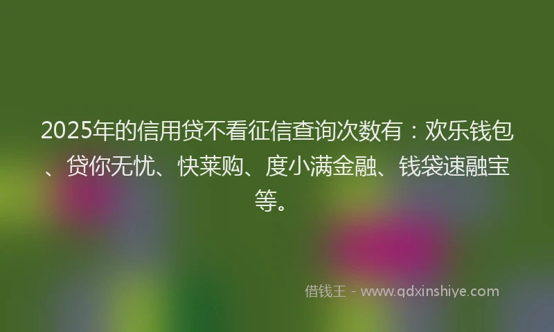 2025年的信用贷不看征信查询次数有：欢乐钱包、贷你无忧、快莱购、度小满金融、钱袋速融宝等。