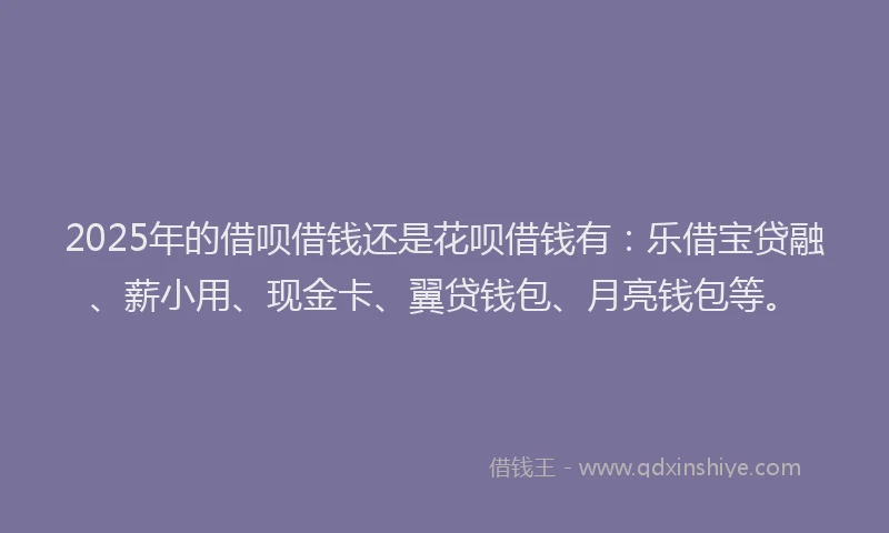 2025年的借呗借钱还是花呗借钱有：乐借宝贷融、薪小用、现金卡、翼贷钱包、月亮钱包等。