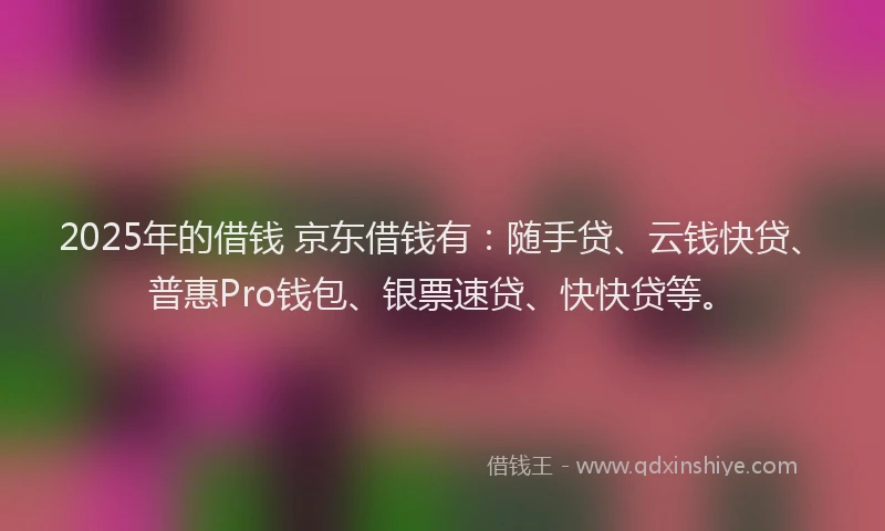 2025年的借钱 京东借钱有：随手贷、云钱快贷、普惠Pro钱包、银票速贷、快快贷等。