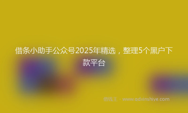 借条小助手公众号2025年精选，整理5个黑户下款平台