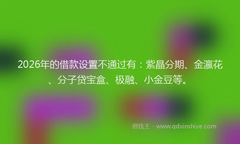 2026年的借款设置不通过有:紫晶分期、金瀛花、分子贷宝盒、极融、小金豆等。