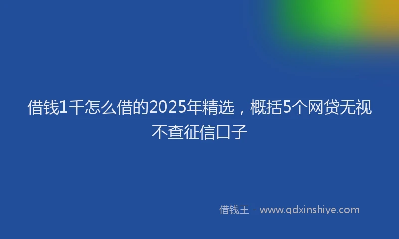 借钱1千怎么借的2025年精选，概括5个网贷无视不查征信口子
