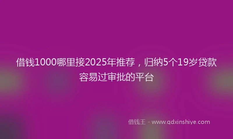 借钱1000哪里接2025年推荐,归纳5个19岁贷款容易过审批的平台