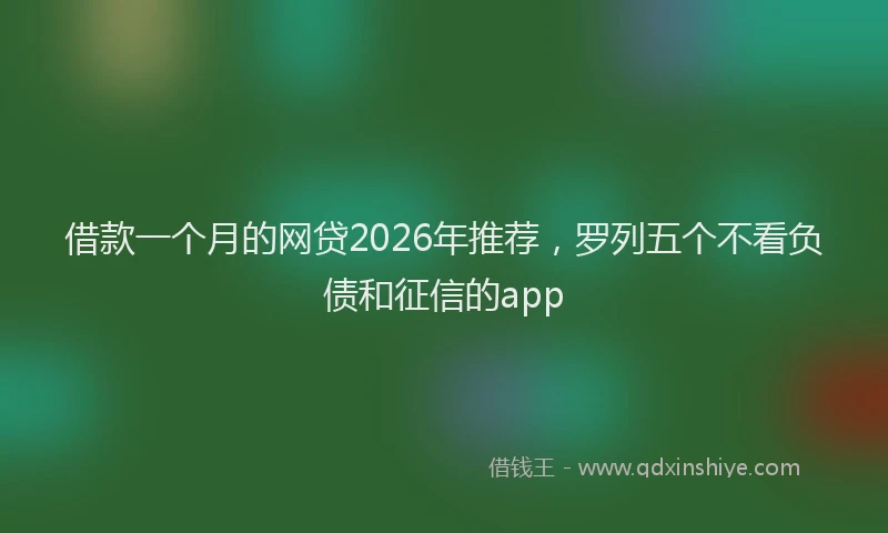 借款一个月的网贷2026年推荐，罗列五个不看负债和征信的app