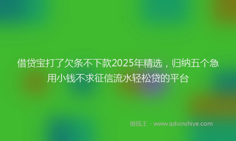 借贷宝打了欠条不下款2025年精选,归纳五个急用小钱不求征信流水轻松贷的平台