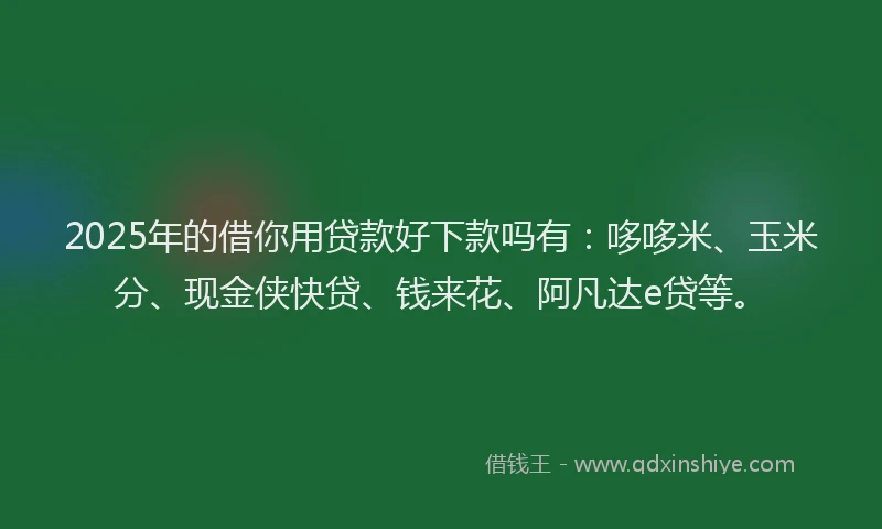 2025年的借你用贷款好下款吗有：哆哆米、玉米分、现金侠快贷、钱来花、阿凡达e贷等。