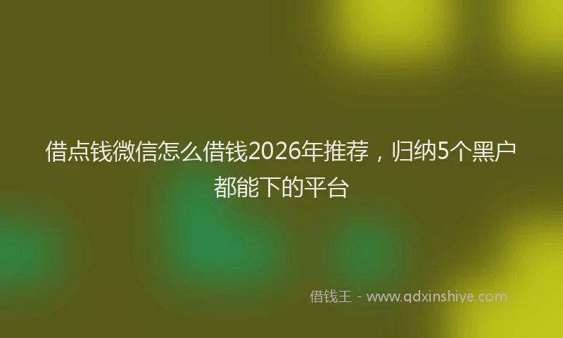 借点钱微信怎么借钱2026年推荐,归纳5个黑户都能下的平台