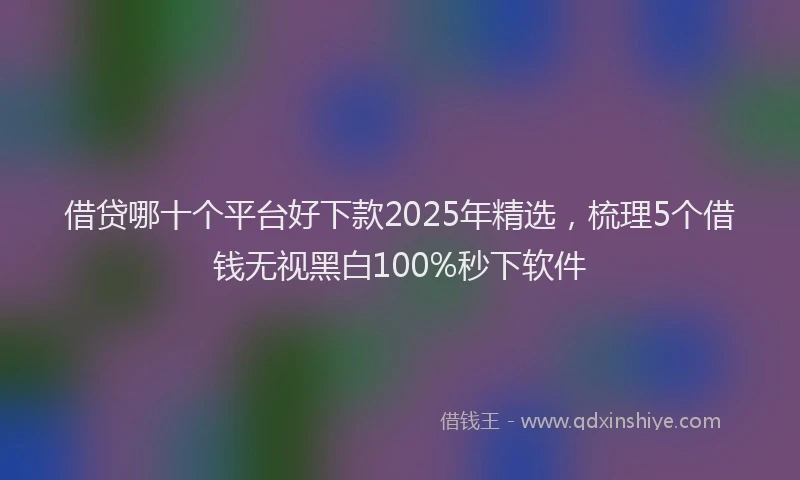 借贷哪十个平台好下款2025年精选,梳理5个借钱无视黑白100%秒下软件