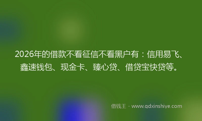 2026年的借款不看征信不看黑户有：信用易飞、鑫速钱包、现金卡、臻心贷、借贷宝快贷等。